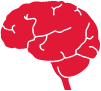 Brain icon